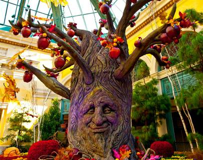 Bellagio's Fall 2011 Display